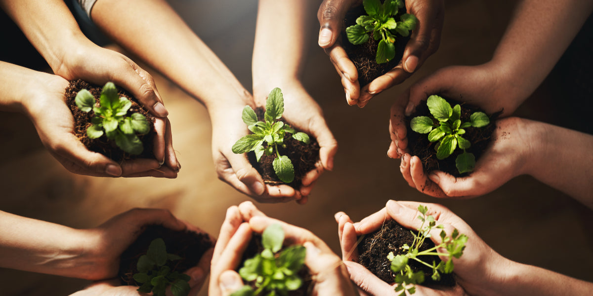 Hände von verschiedenen Menschen die Pflanzen halten